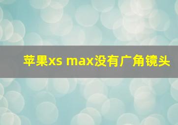 苹果xs max没有广角镜头